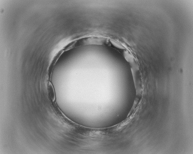 X0000088170152200706051125