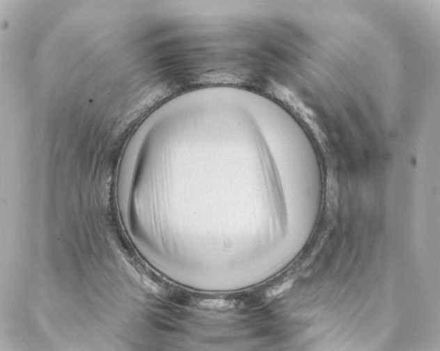 X0000088170153200706051125