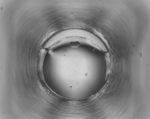 X0000088170154200706051125