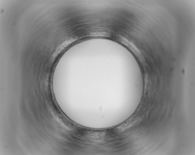 X0000088170155200706051125