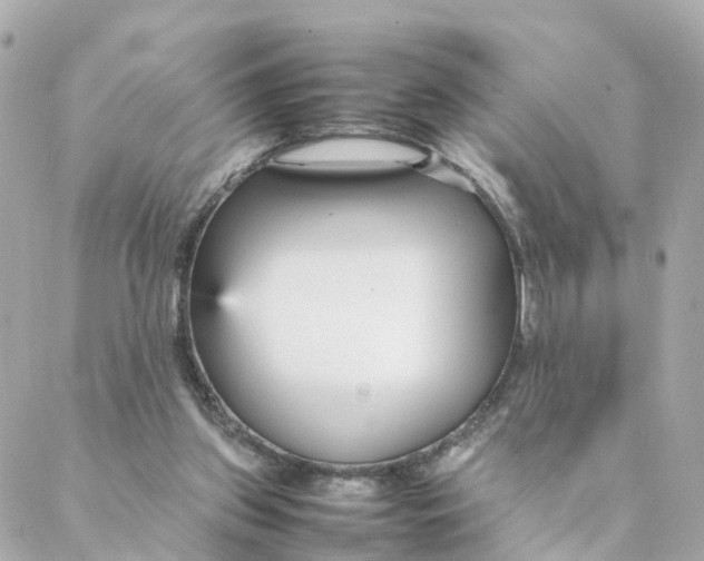 X0000088170157200706051125