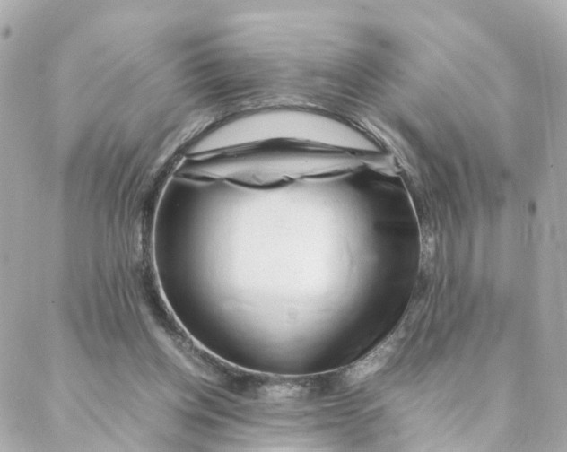 X0000088170158200706051125