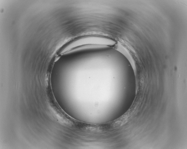 X0000088170160200706051125