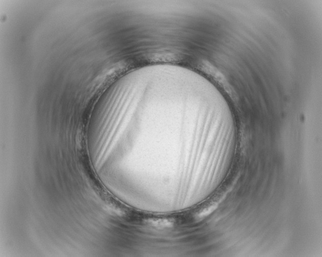 X0000088170161200706051125