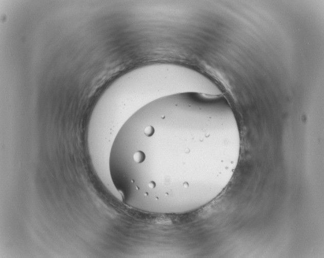 X0000088170162200706051125