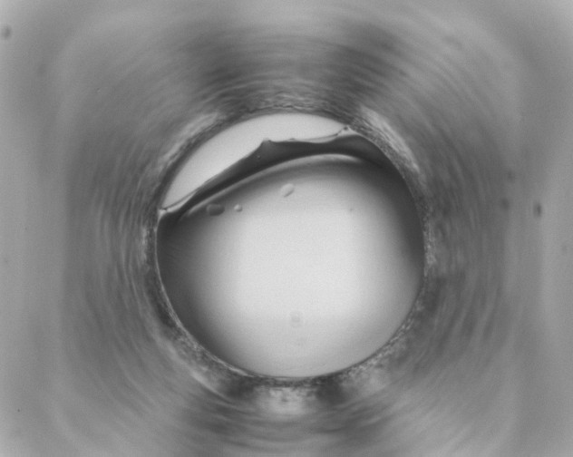 X0000088170163200706051125