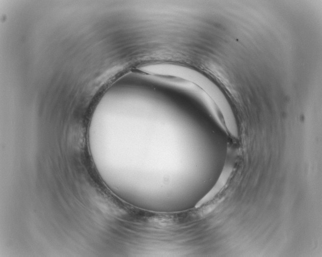 X0000088170164200706051125