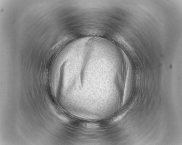 X0000088170165200706051125