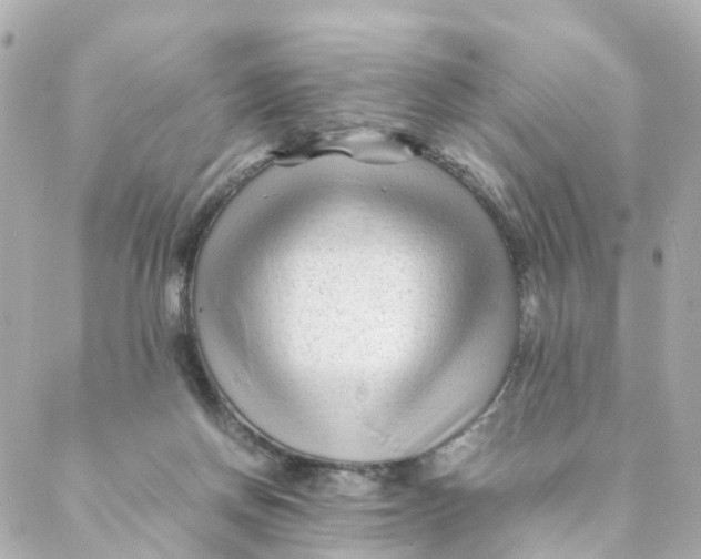 X0000088170166200706051125