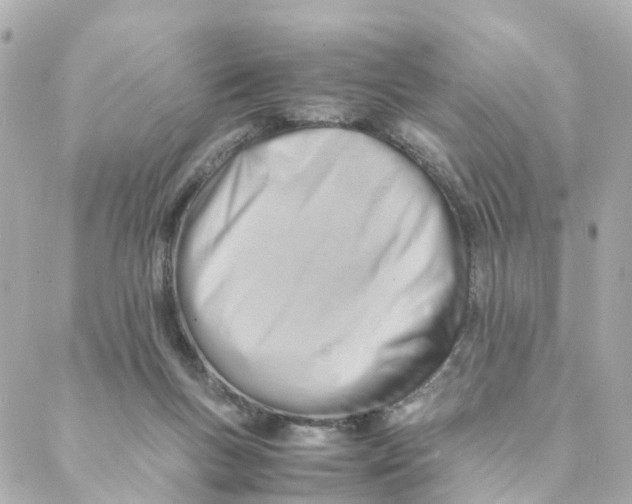 X0000088170167200706051125