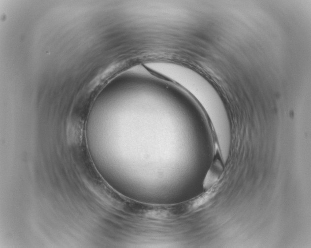 X0000088170168200706051125