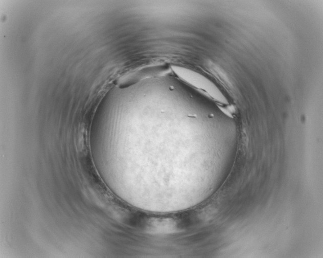 X0000088170169200706051125