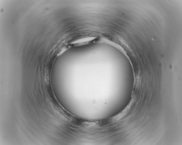 X0000088170170200706051125