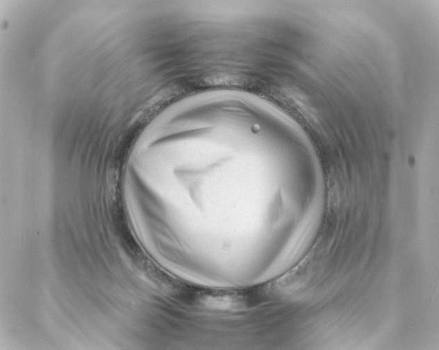 X0000088170171200706051125