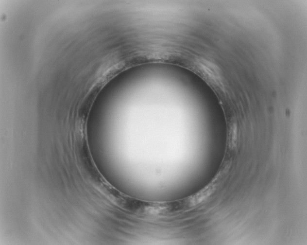 X0000088170172200706051125