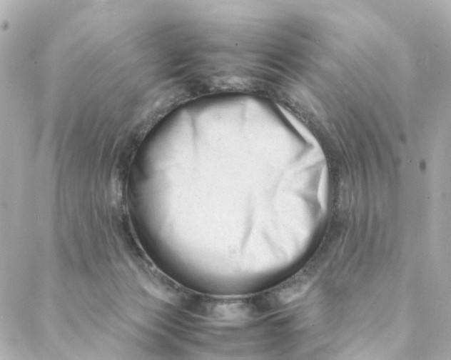 X0000088170173200706051125