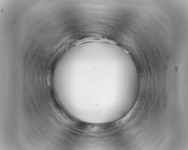 X0000088170174200706051125