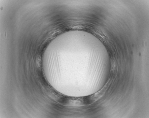 X0000088170175200706051125