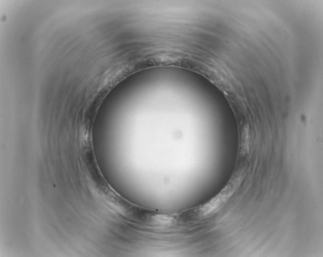 X0000088170176200706051125