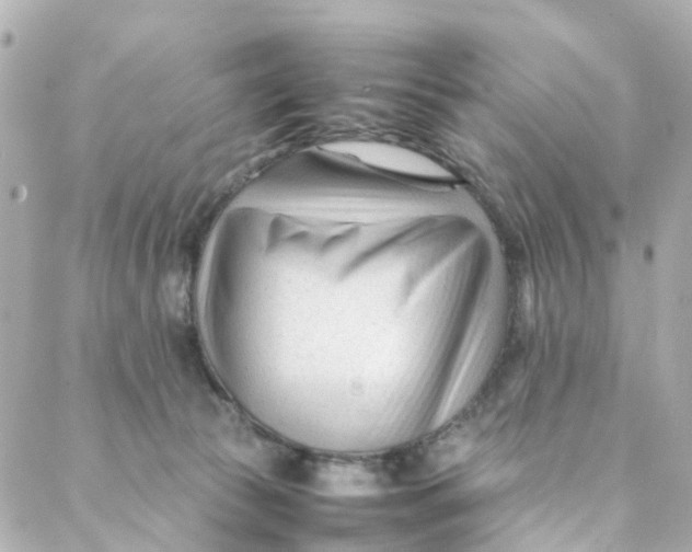 X0000088170177200706051125