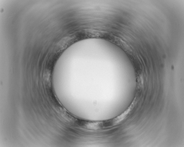 X0000088170178200706051125