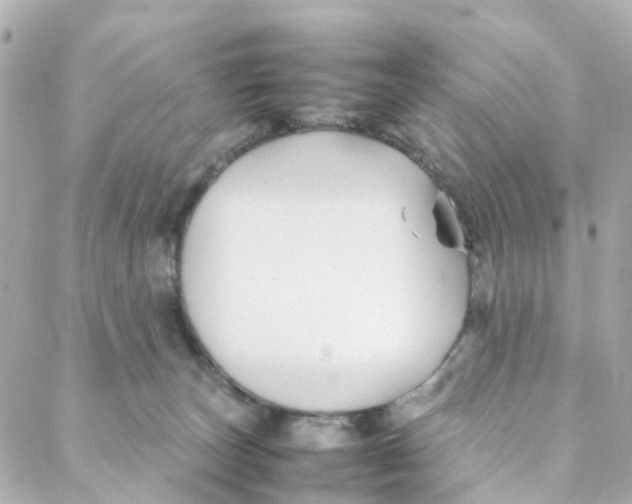 X0000088170179200706051126