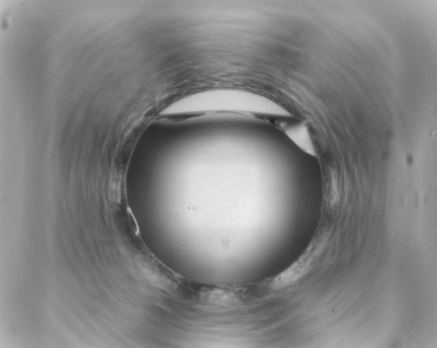 X0000088170180200706051126