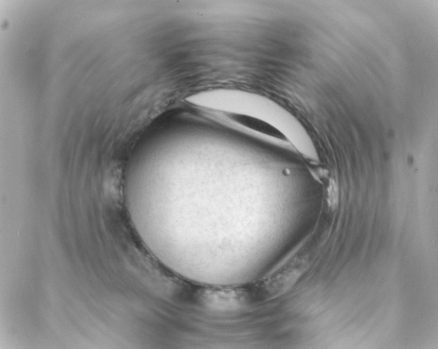 X0000088170181200706051126