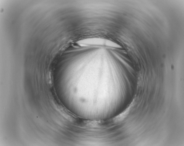 X0000088170182200706051126