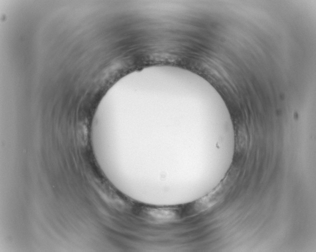 X0000088170183200706051126