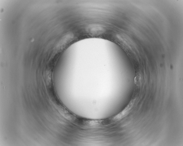 X0000088170184200706051126