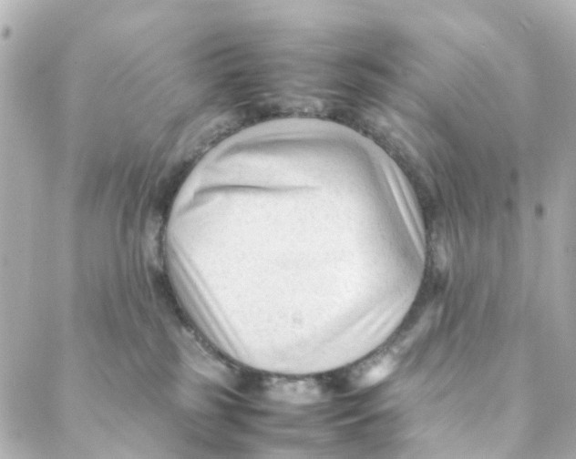 X0000088170185200706051126