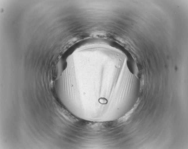 X0000088170186200706051126