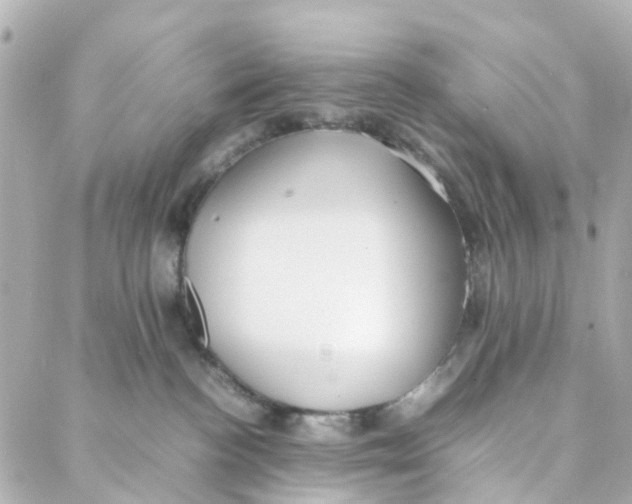 X0000088170188200706051126