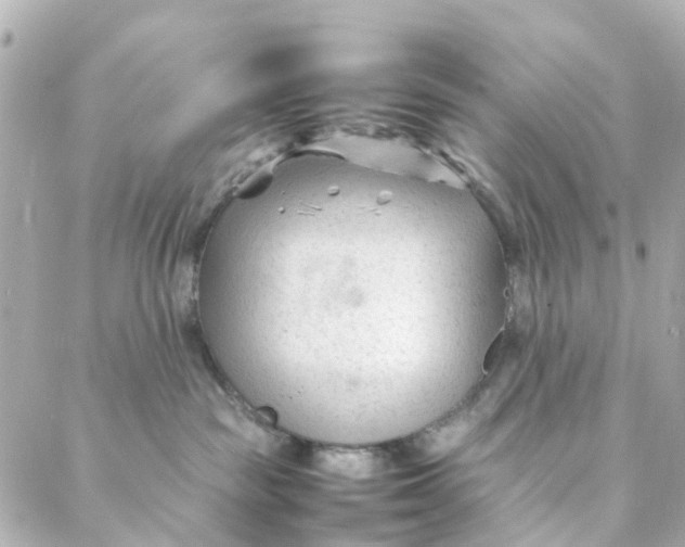 X0000088170189200706051126