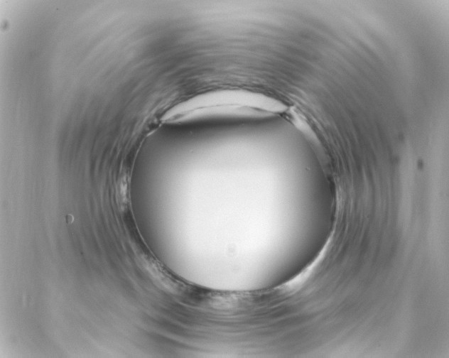 X0000088170190200706051126