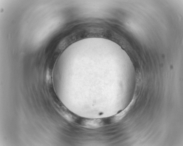 X0000088170191200706051126