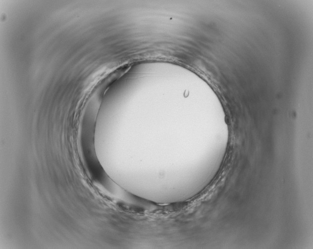 X0000088170193200706051125