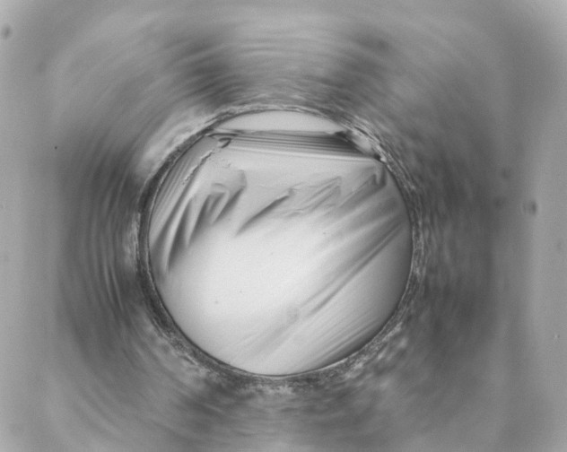 X0000088170194200706051125