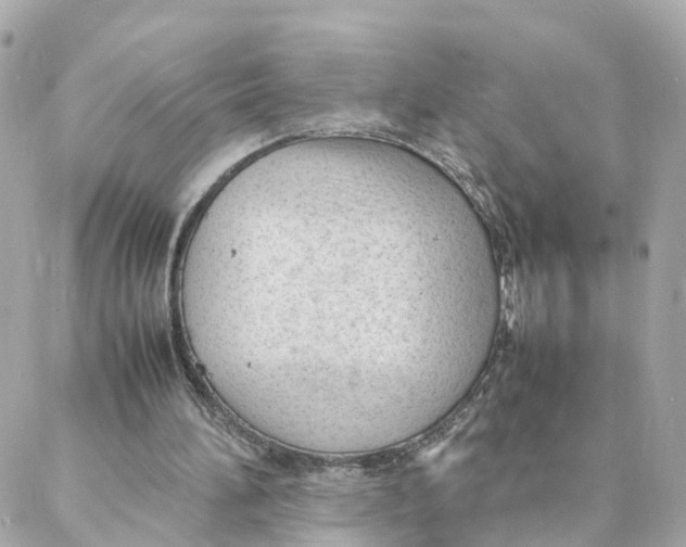 X0000088170196200706051125