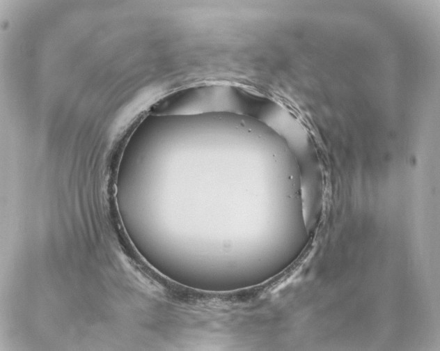 X0000088170197200706051125