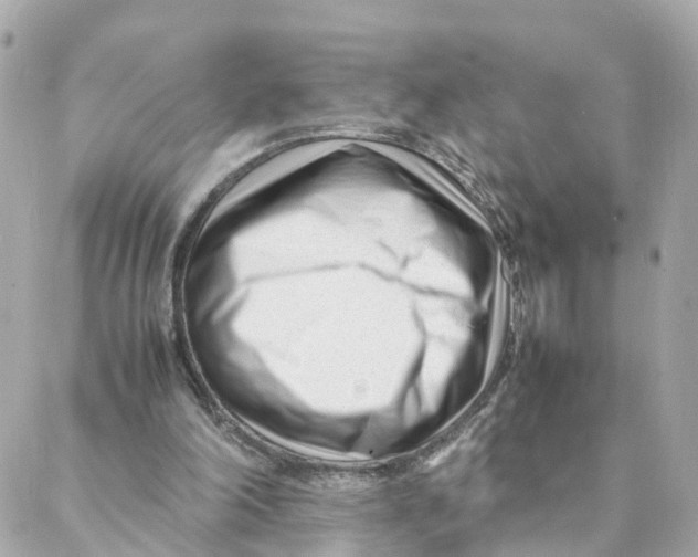 X0000088170198200706051125