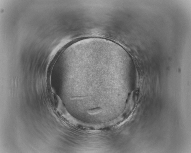 X0000088170200200706051125