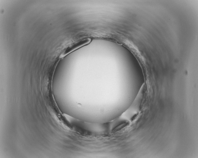 X0000088170201200706051125