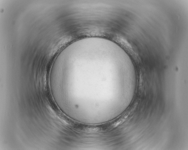 X0000088170202200706051125