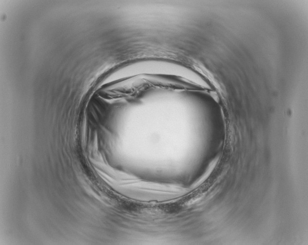 X0000088170203200706051125