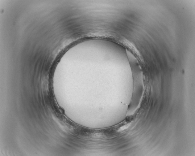 X0000088170204200706051125