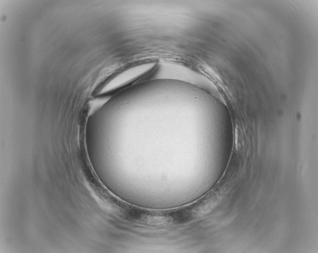 X0000088170205200706051125