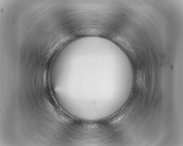 X0000088170206200706051125