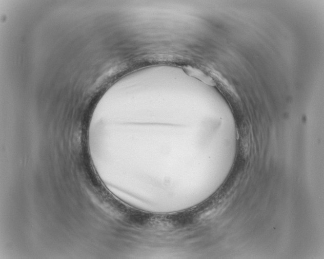 X0000088170207200706051125